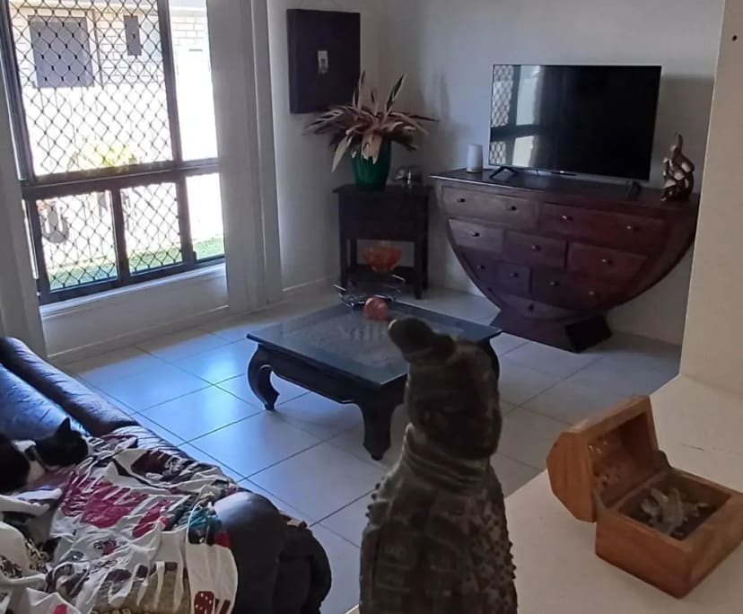 $250, Share-house, 4 bathrooms, Gracemere QLD 4702