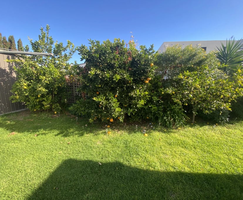 $275-375, Share-house, 2 rooms, Henley Beach SA 5022, Henley Beach SA 5022