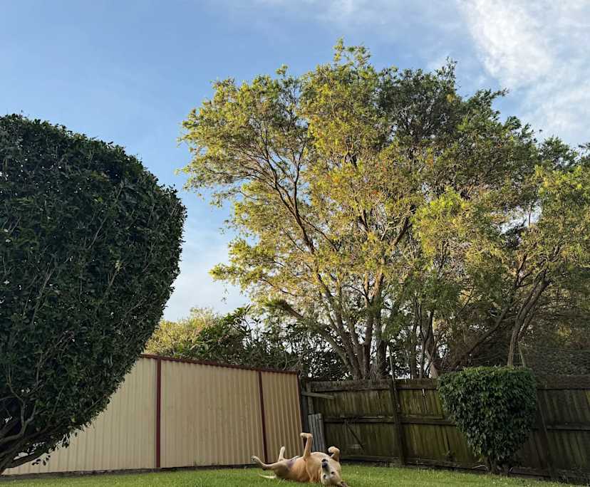 Unfurnished room in a share house