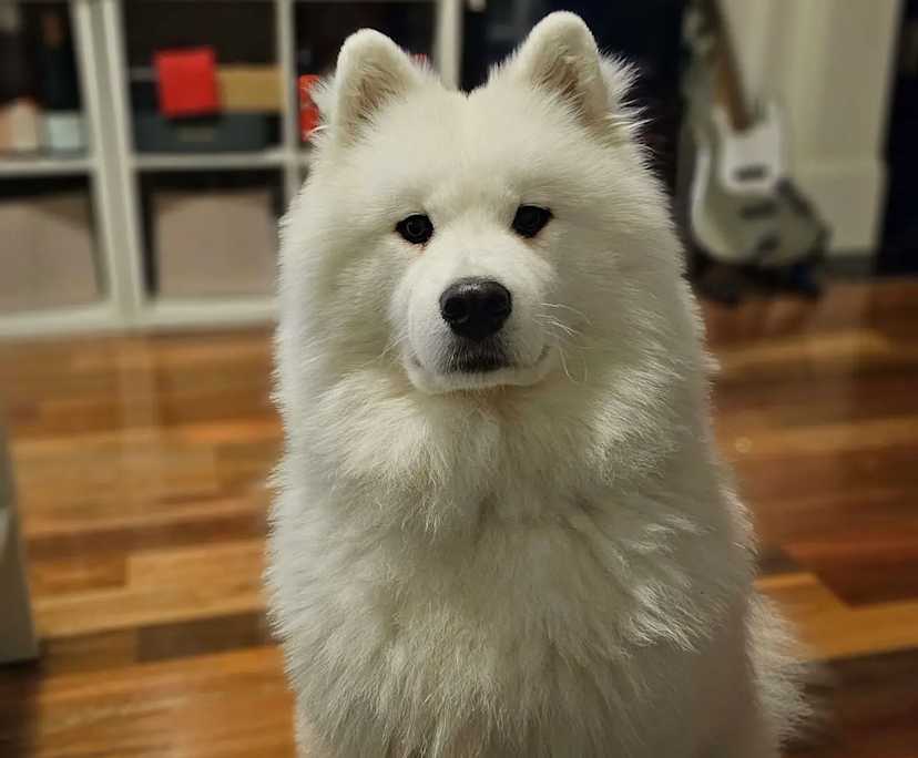 $460, Flatshare, 2 bathrooms, Queens Park NSW 2022