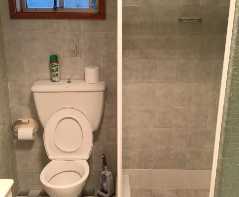 Granny Flat for Rent in Padstow Heights, Sydney 3...