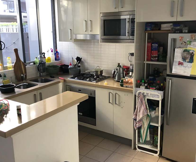 Whole property with 2 rooms for rent