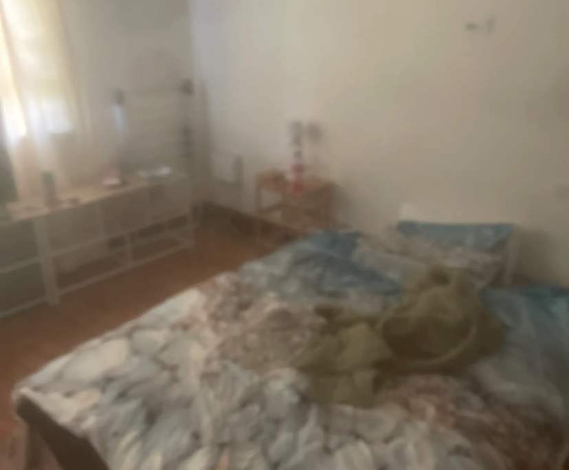 $250, Share-house, 2 rooms, Wollongong NSW 2500, Wollongong NSW 2500