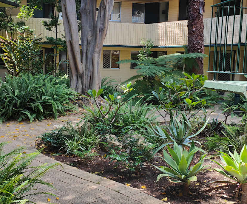 $300, Flatshare, 2 bathrooms, Churchlands WA 6018