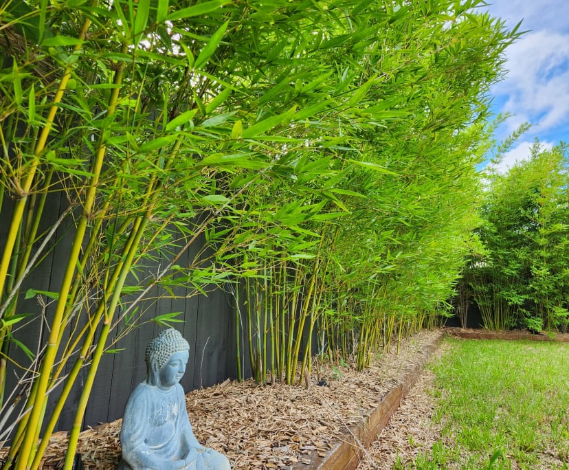 $350, Share-house, 4 bathrooms, Loganholme QLD 4129