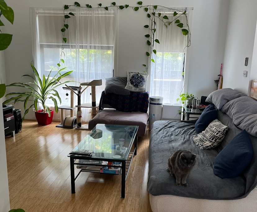 $250, Share-house, 3 bathrooms, Reservoir VIC 3073