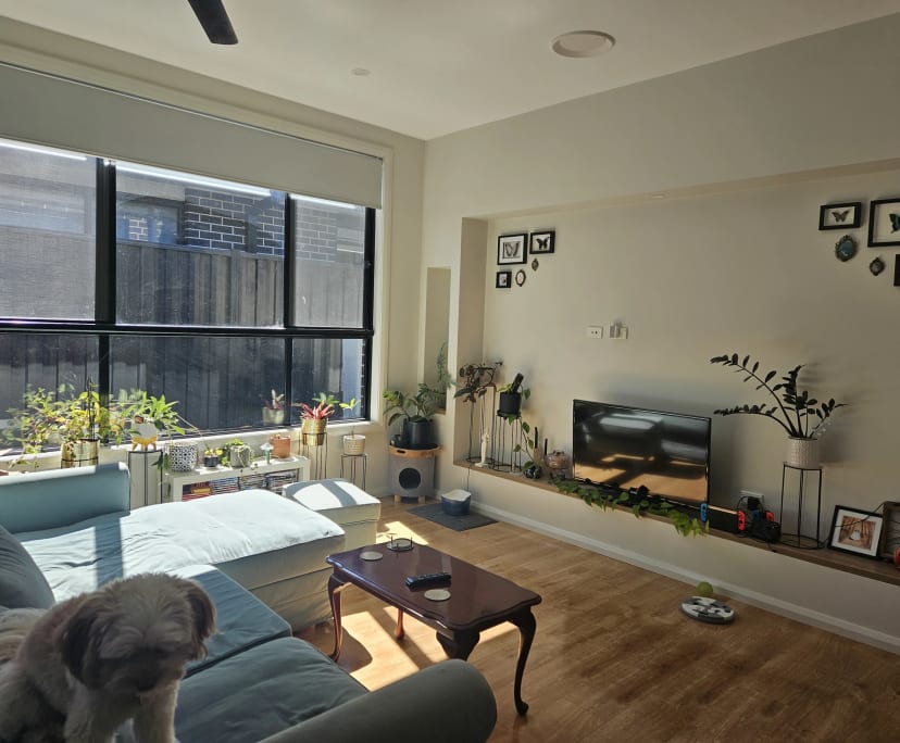 Unfurnished room in a share house