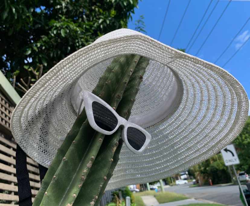 $280, Share-house, 3 bathrooms, Burleigh Heads QLD 4220