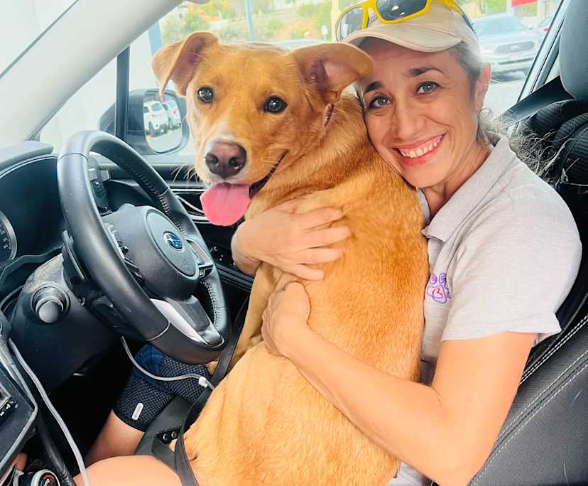 $360, Share-house, 2 bathrooms, Holland Park West QLD 4121