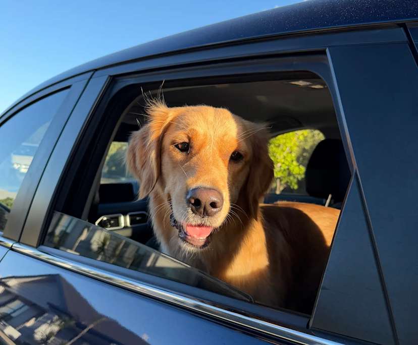 $300, Whole-property, 4 bathrooms, Runaway Bay QLD 4216