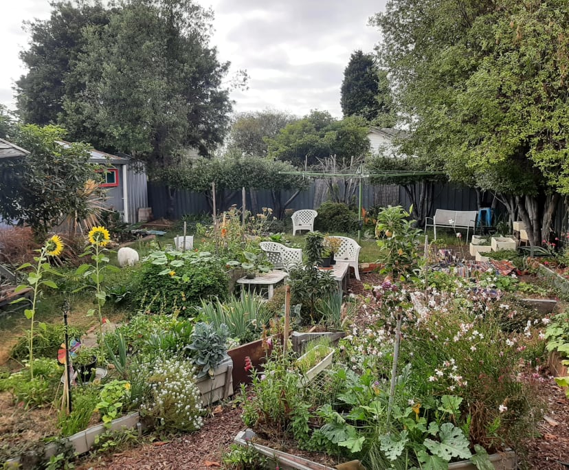 $180, Share-house, 4 bathrooms, Newcomb VIC 3219