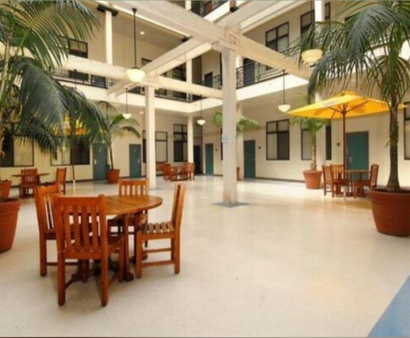 $510, Student-accommodation, 1 bathroom, Ultimo NSW 2007