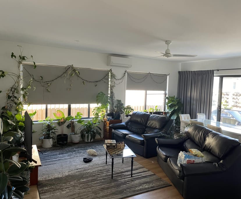 Room for Rent in Palmview, Sunshine Coast 200, Un...