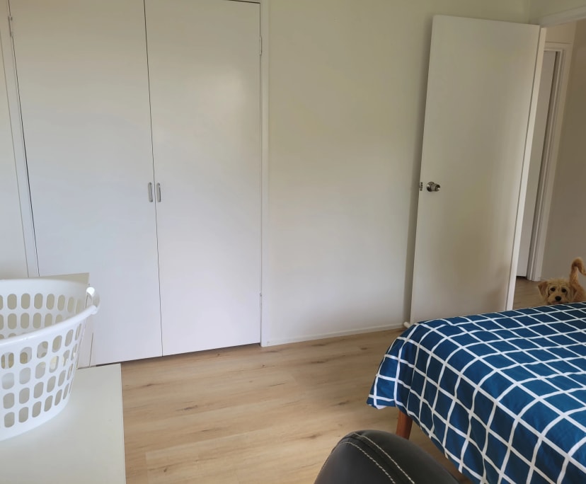 Room for Rent in Southport, Gold Coast 330, Furni...