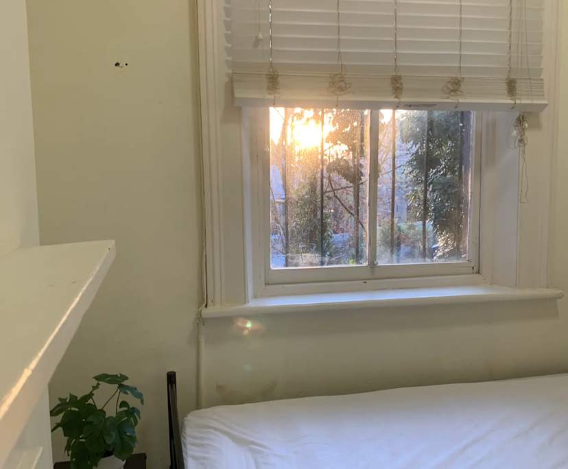 $320, Share-house, 6 bathrooms, Surry Hills NSW 2010