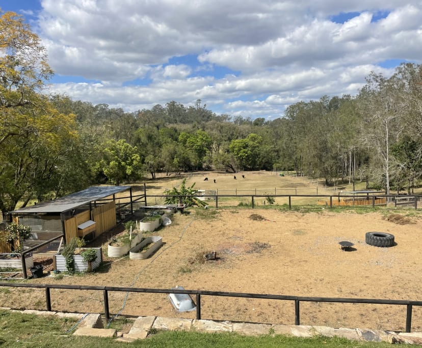 Room for Rent in Pinjarra Hills, Brisbane 300, Fu...