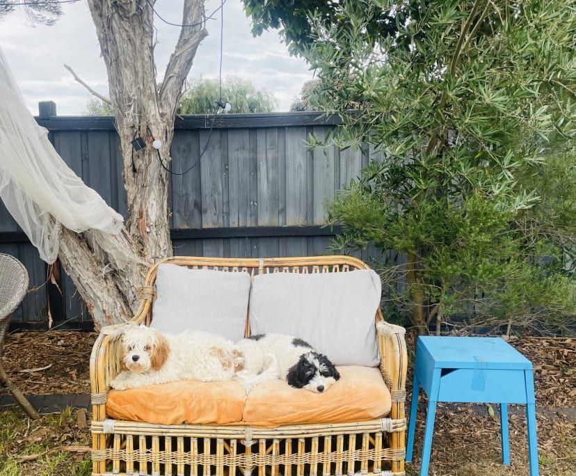 $250, Share-house, 2 rooms, Mornington VIC 3931, Mornington VIC 3931