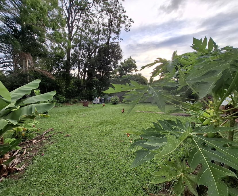 $300, Share-house, 3 bathrooms, Wynnum QLD 4178