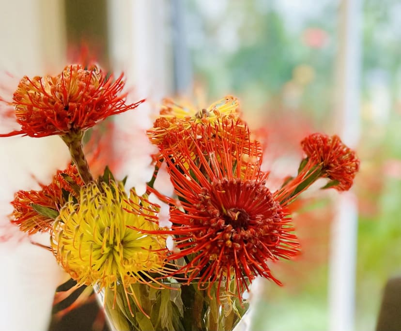 $300-440, Share-house, 3 rooms, Castle Hill NSW 2154, Castle Hill NSW 2154