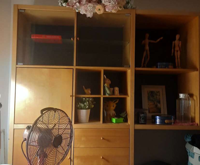 $225, Share-house, 5 bathrooms, Condell Park NSW 2200