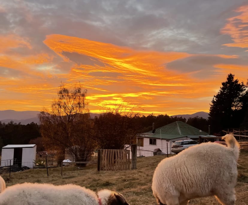 $150, Share-house, 3 bathrooms, Franklin TAS 7113