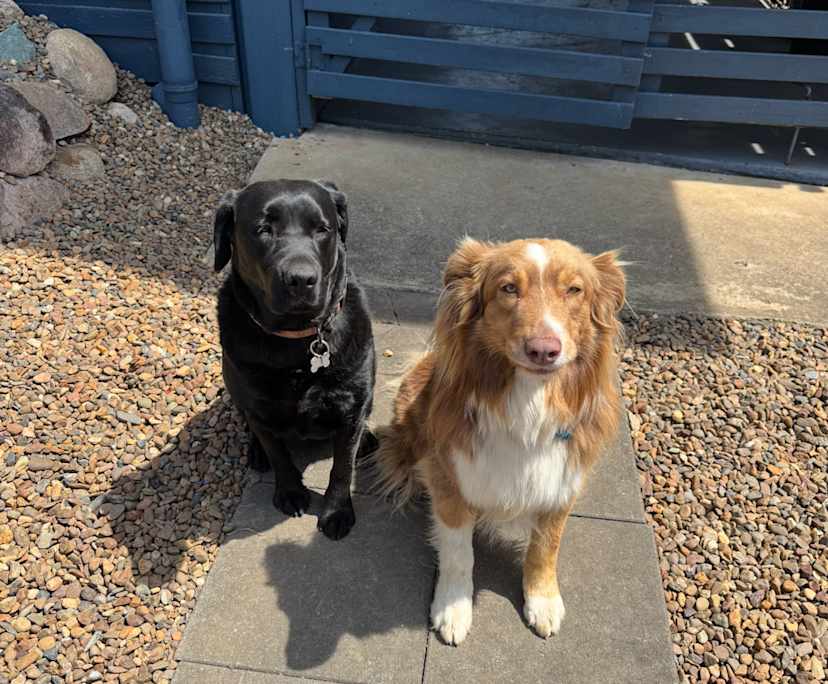 $280, Share-house, 3 bathrooms, Bracken Ridge QLD 4017