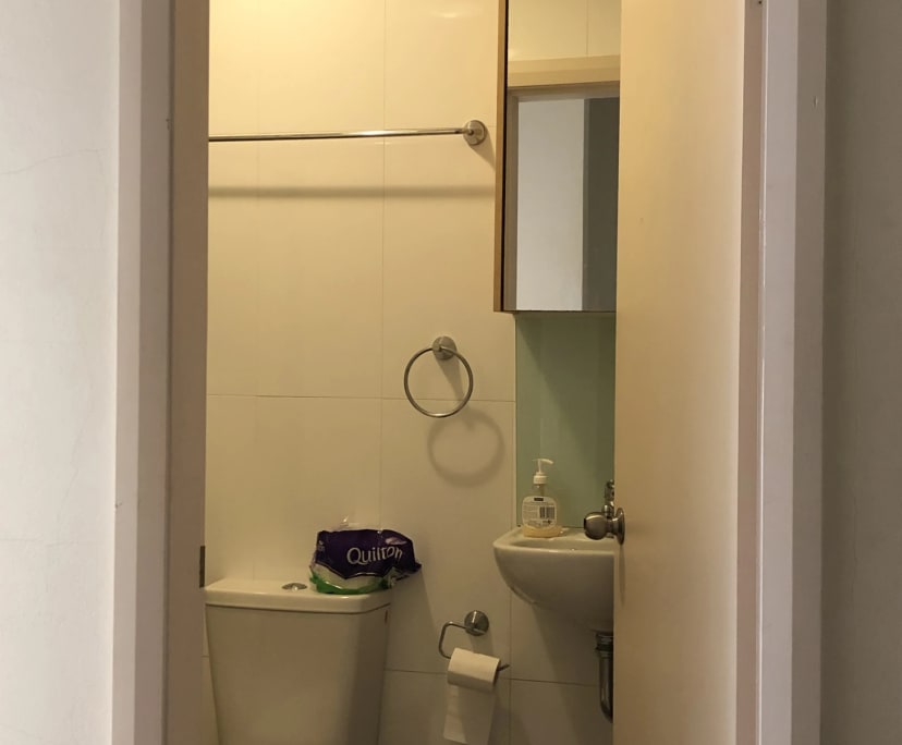 $300, Flatshare, 2 bathrooms, Ashfield NSW 2131