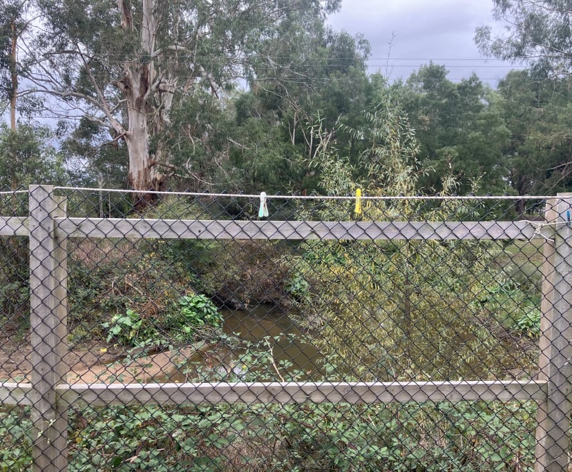 $320, Granny-flat, 2 bathrooms, Longwarry North VIC 3816