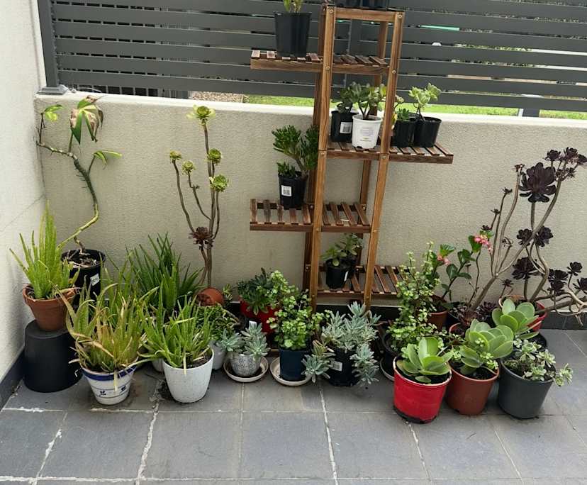 Furnished room in a flatshare