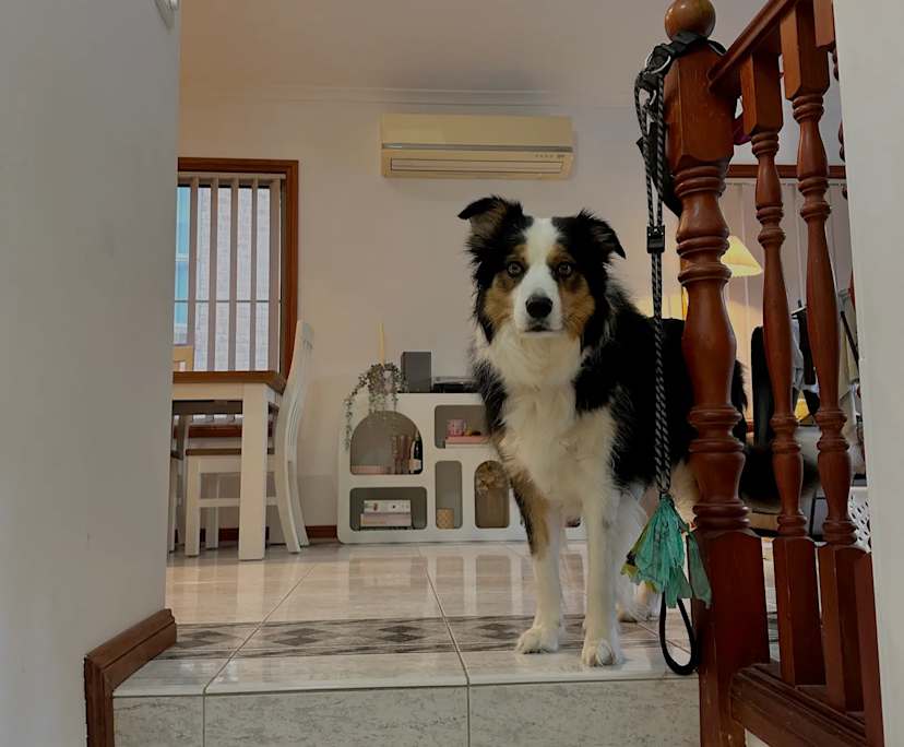 Room with ensuite in a share house