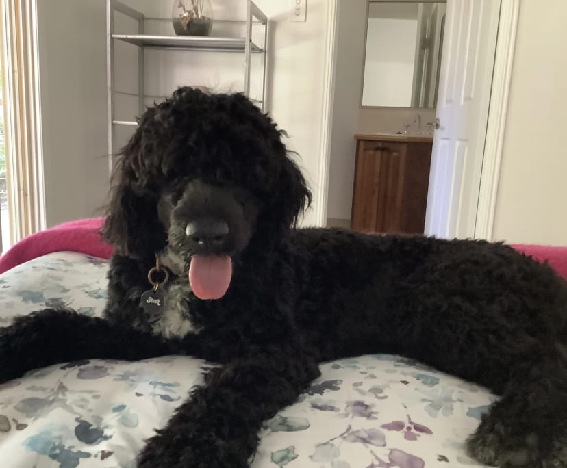 $400, Share-house, 3 bathrooms, Maroochydore QLD 4558