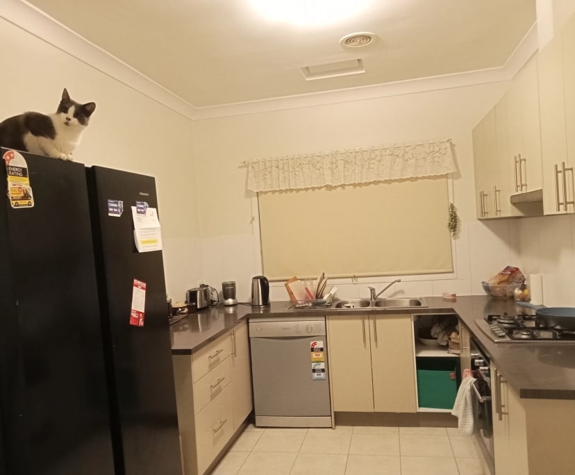 Student for Rent in Pascoe Vale, Melbo...