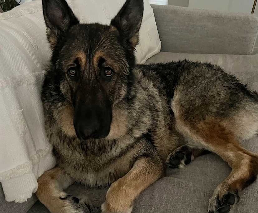 $160, Share-house, 2 rooms, Caroline Springs VIC 3023, Caroline Springs VIC 3023