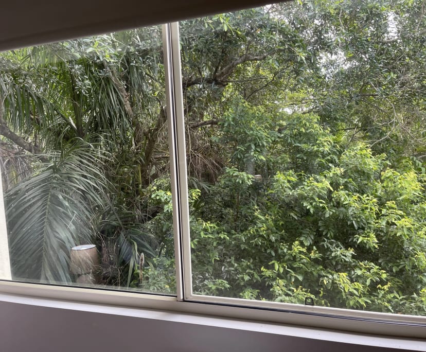 $350, Flatshare, 3 bathrooms, Cannonvale QLD 4802