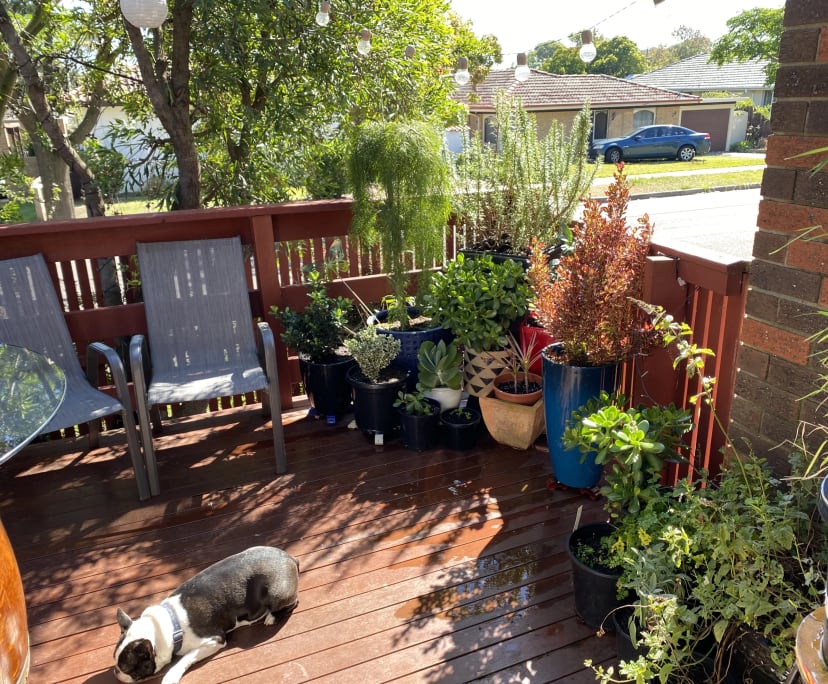 $325, Share-house, 3 bathrooms, Burwood East VIC 3151