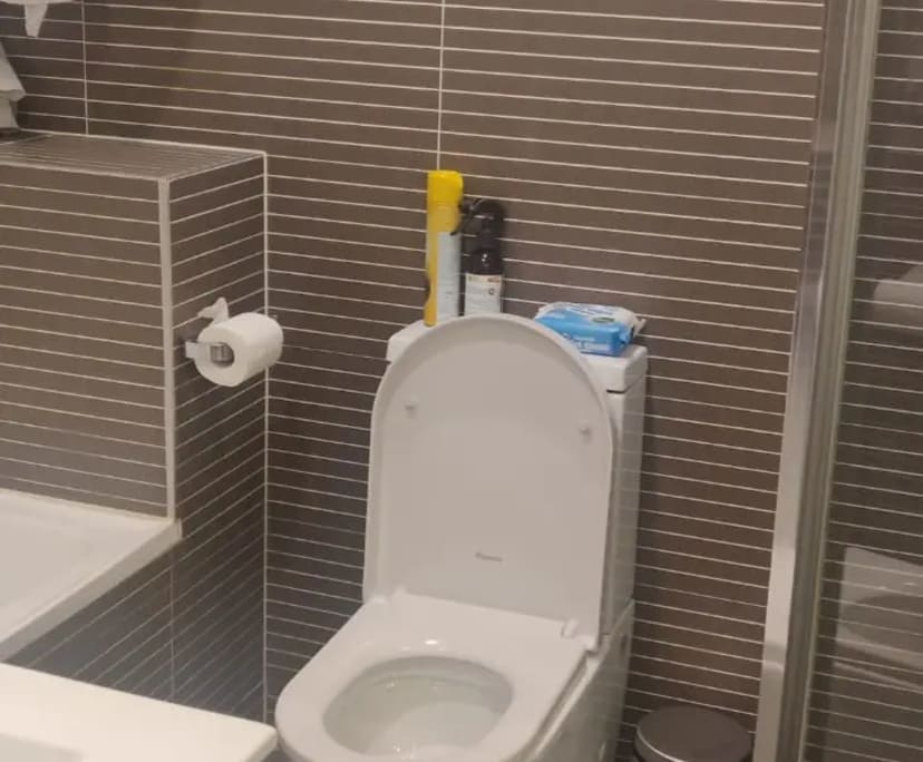 $450, Flatshare, 2 bathrooms, Strathfield NSW 2135