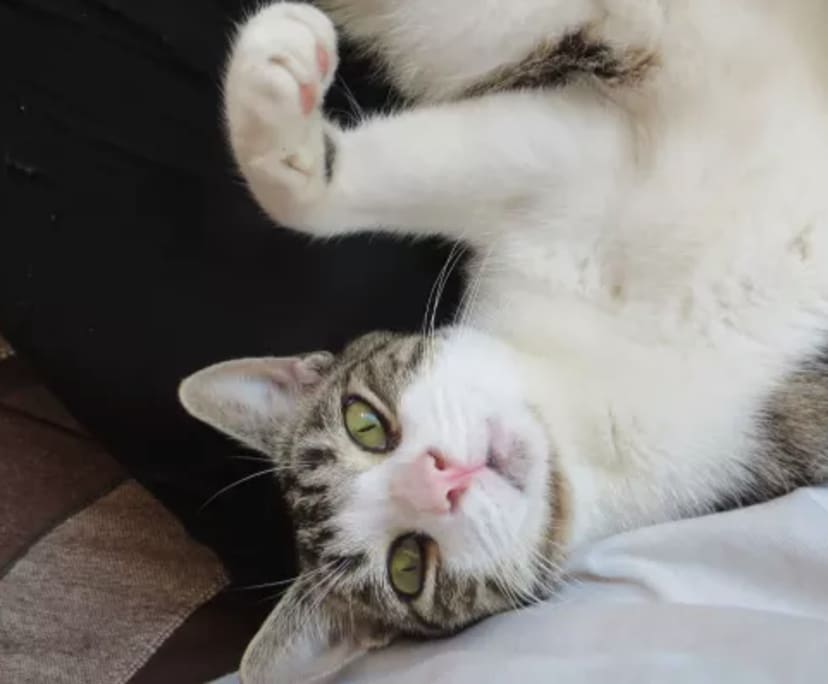 $400, Share-house, 4 bathrooms, Maroubra NSW 2035