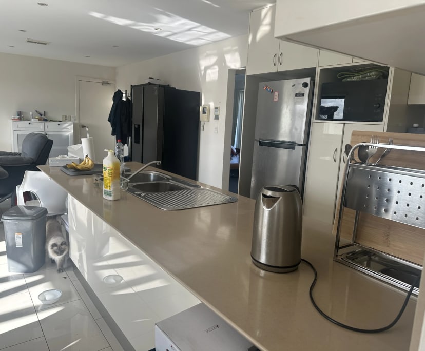 $300, Flatshare, 3 bathrooms, Newtown NSW 2043