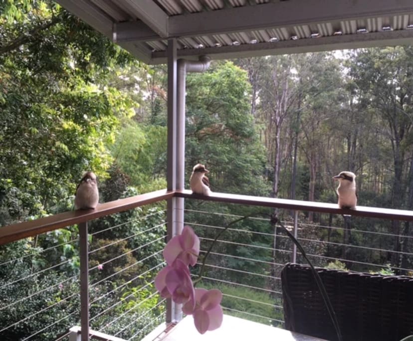 $400, Share-house, 3 bathrooms, Doonan QLD 4562