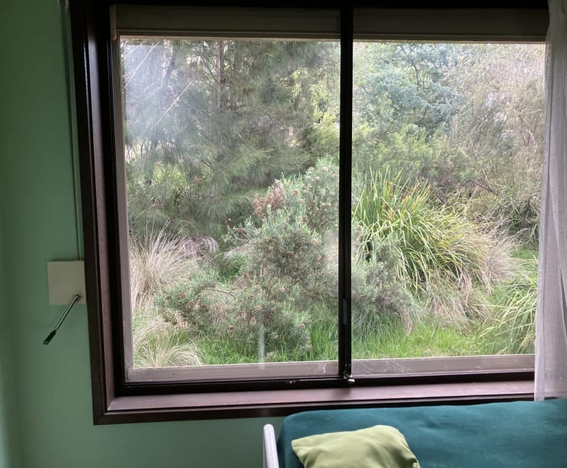 $250, Share-house, 3 bathrooms, O'Connor ACT 2602