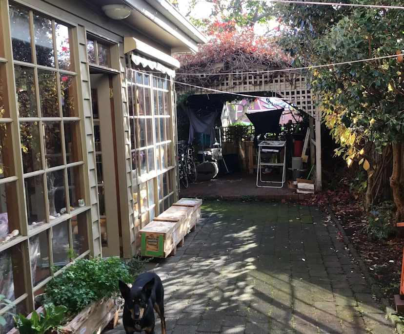 Room in a share house