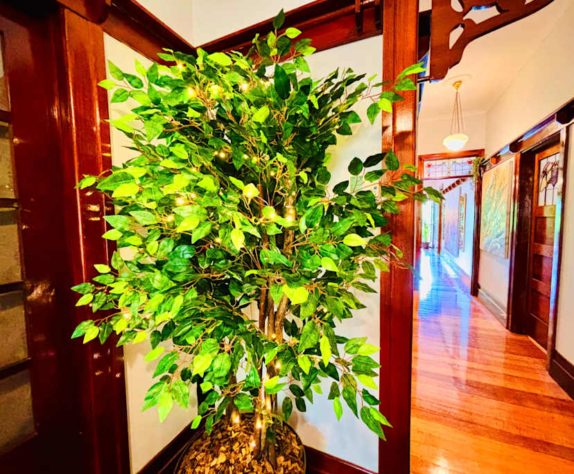 $500, Share-house, 6 bathrooms, Hawthorn East VIC 3123