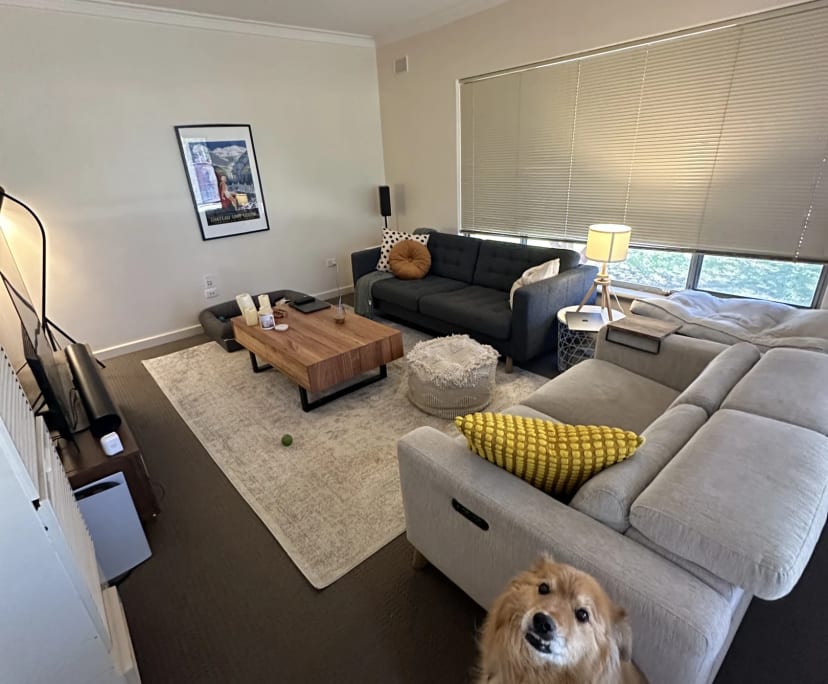 Room for Rent in Brighton, Adelaide 210, Flexible...