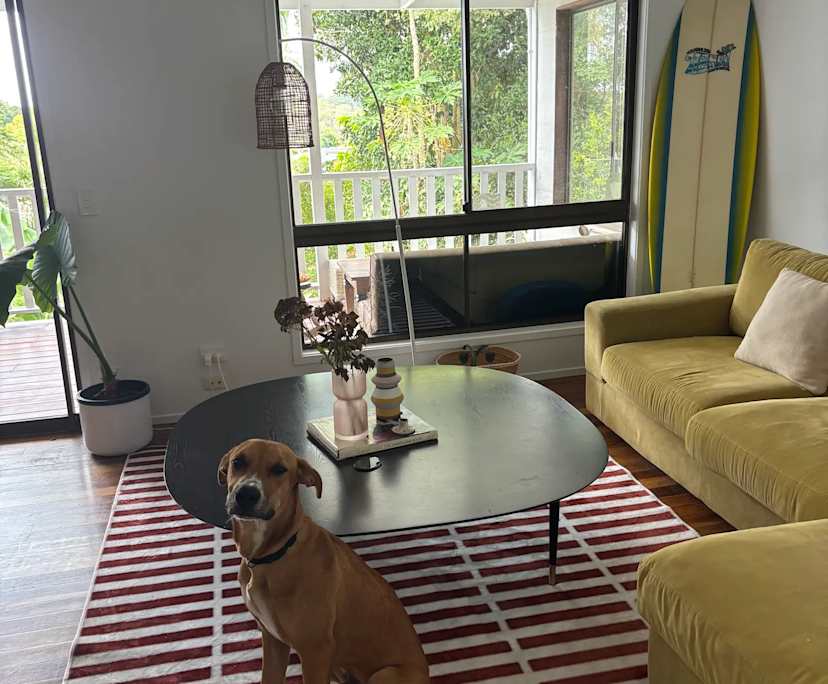 Room in a share house