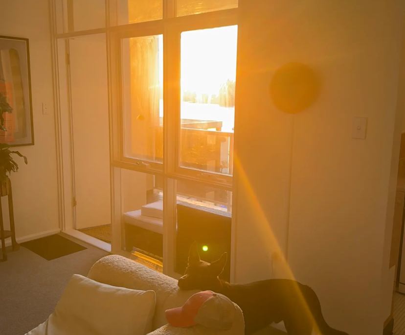 $450, Flatshare, 2 bathrooms, Manly NSW 2095