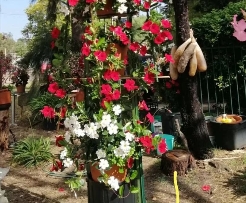 $225-285, Share-house, 2 rooms, Footscray VIC 3011, Footscray VIC 3011