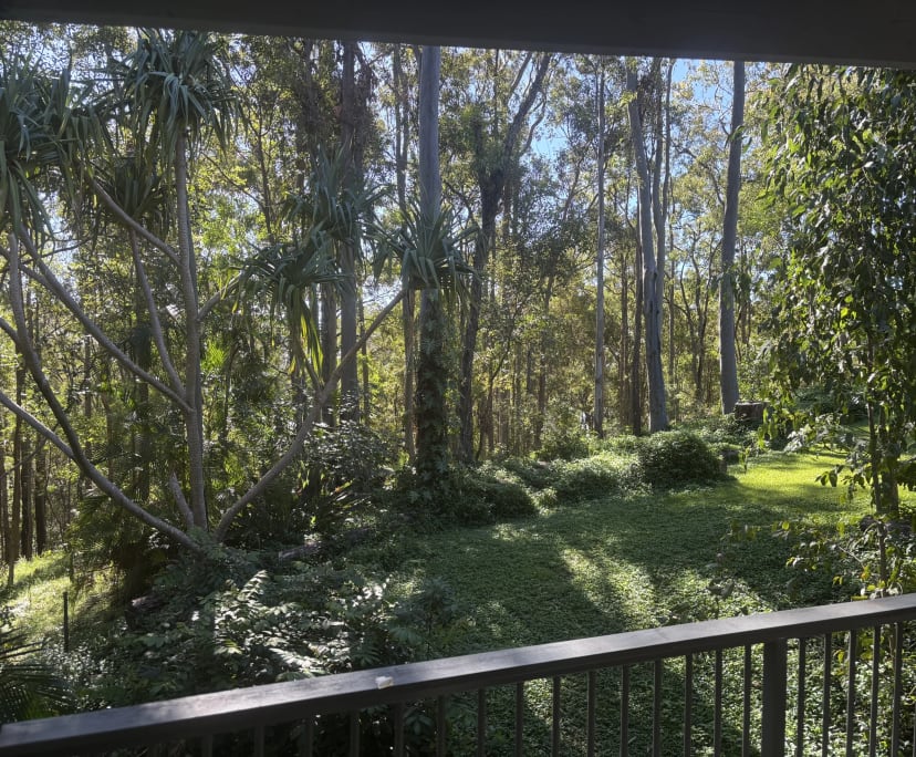 Whole property with 2 rooms for rent