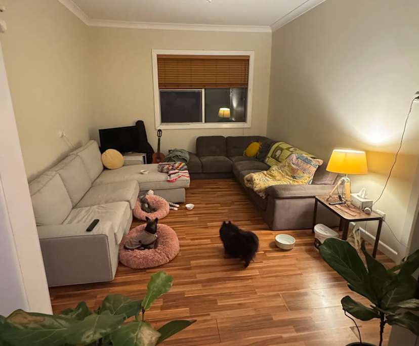 propertyImage