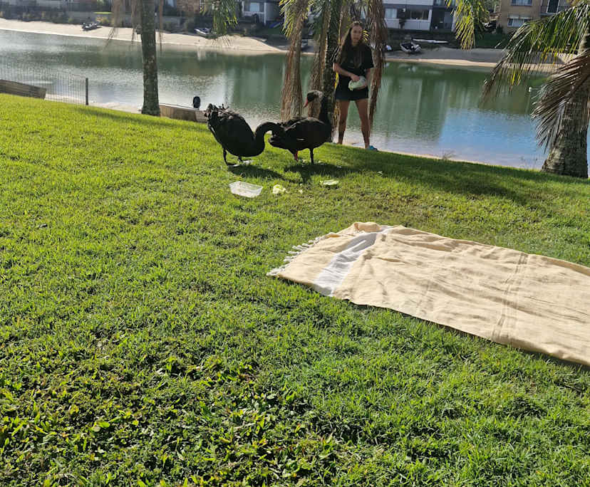 $290, Flatshare, 2 bathrooms, Mooloolaba QLD 4557