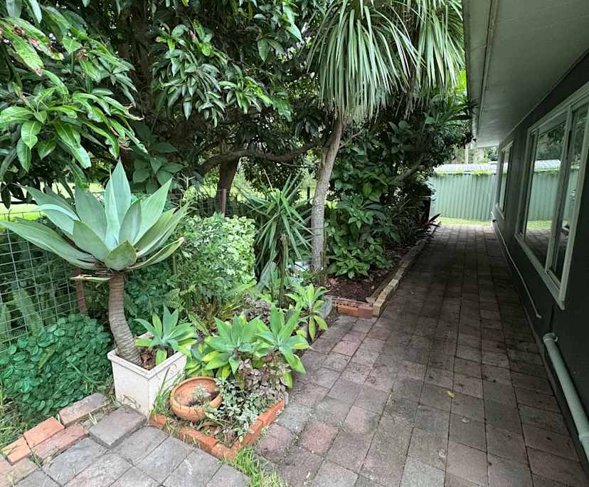 $430, Studio, 1 bathroom, Point Clare NSW 2250